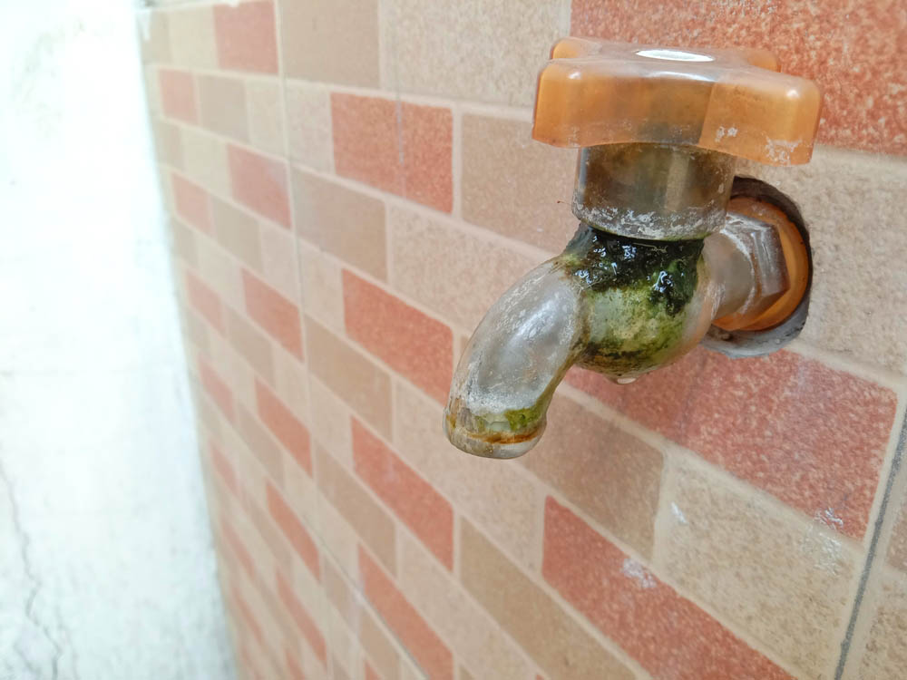 moldy water faucet