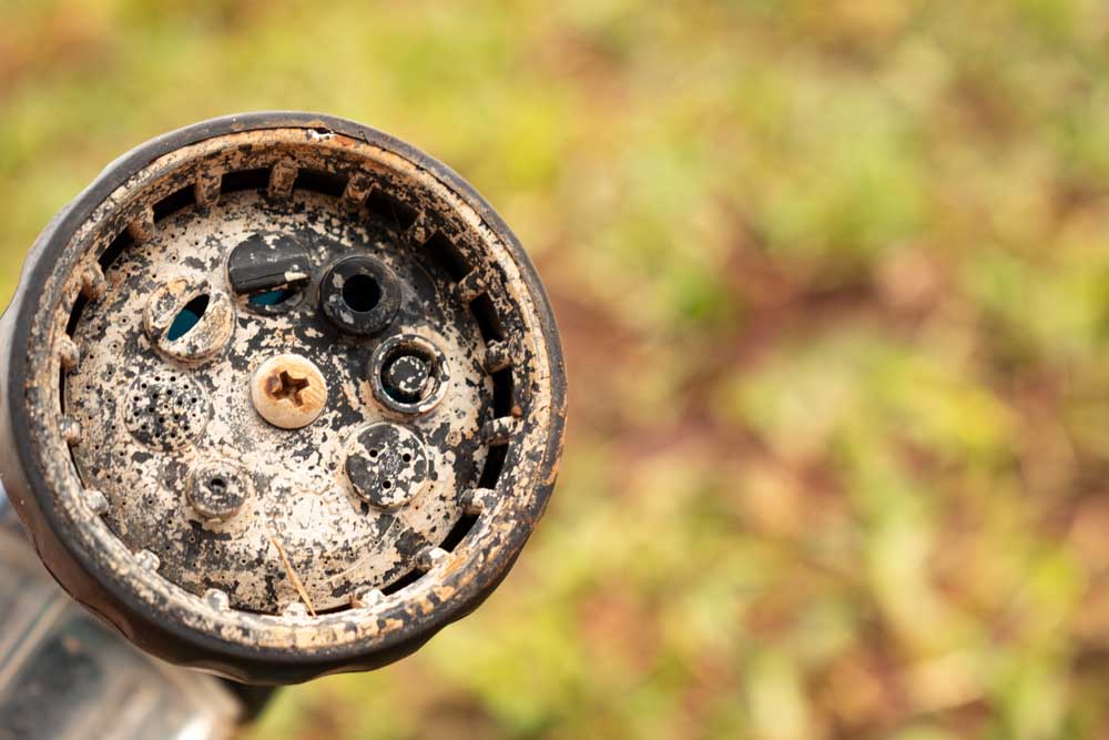 limescale buildup in shower head water softener Round Rock, TX